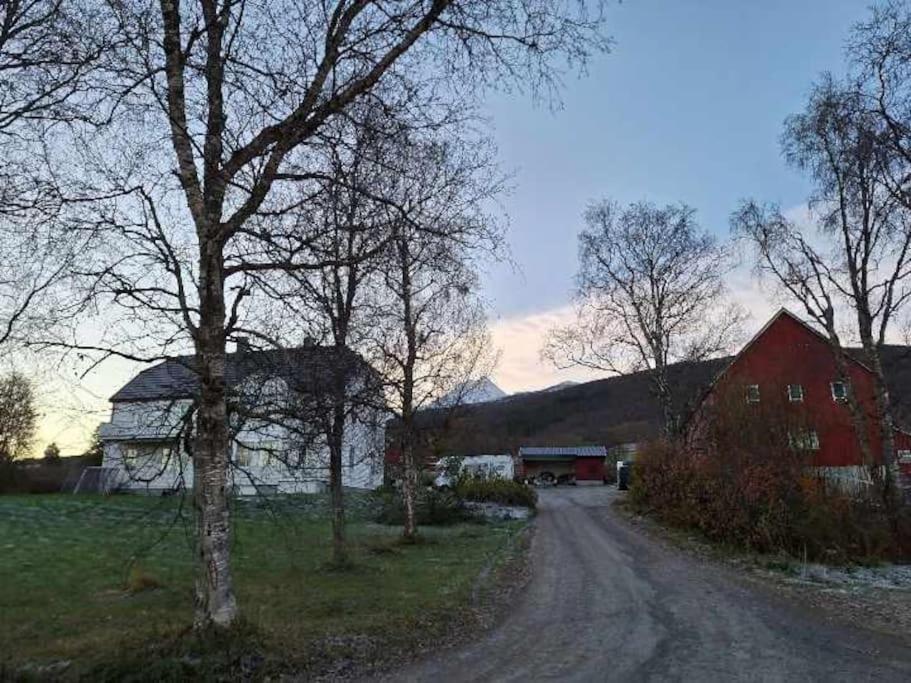 Farmroom With Sauna And Aurora ナルヴィク エクステリア 写真